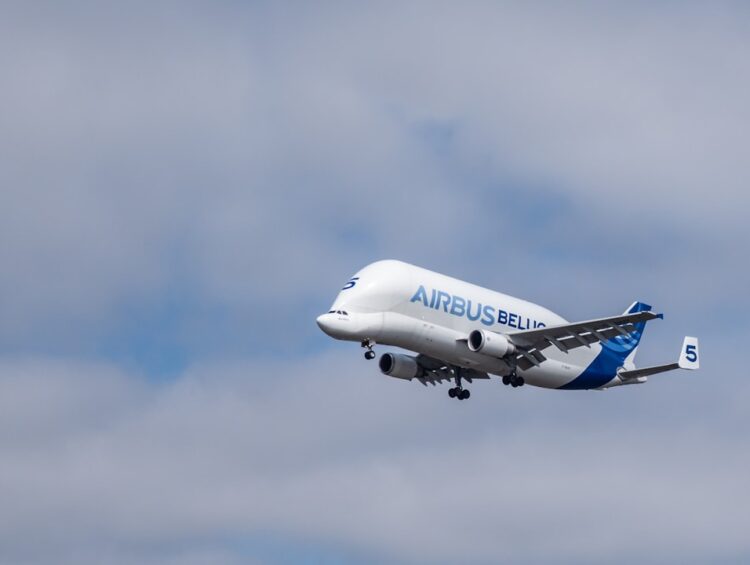 blue and white Airbus airplane