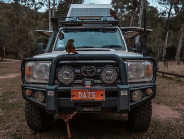 a bird perched on the front of a vehicle