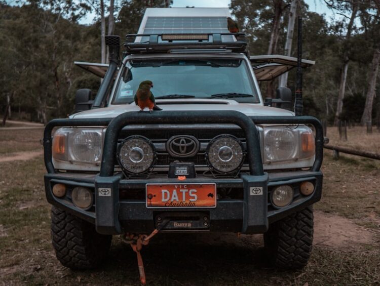 a bird perched on the front of a vehicle