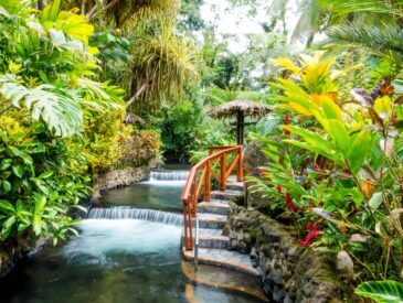 brown wooden bridge over river