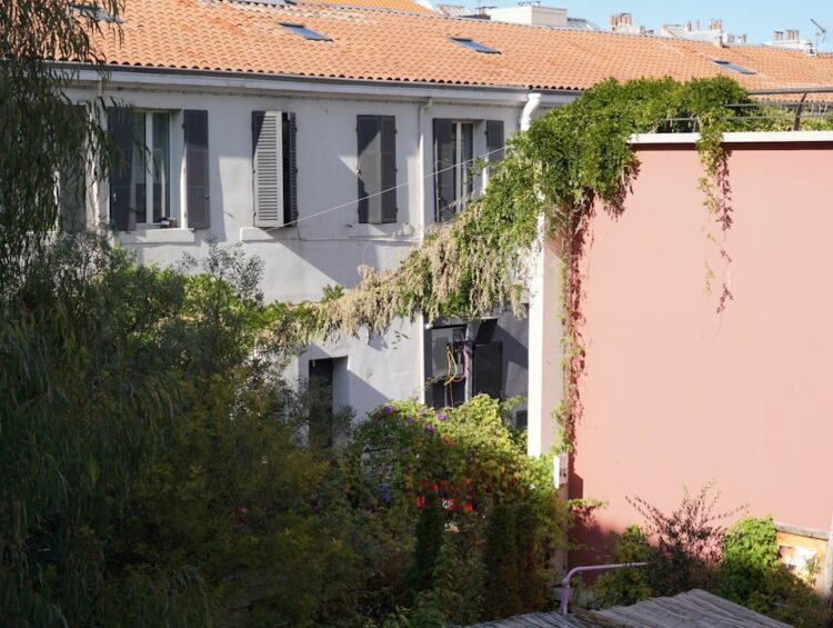 Building exterior with overgrown green plants and pink wall.