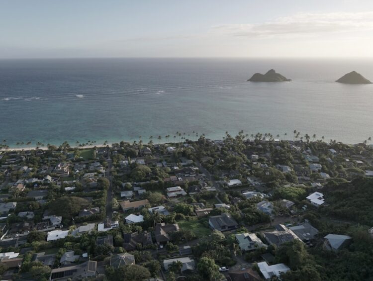 an aerial view of a small town by the ocean