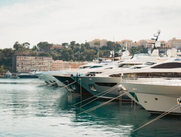 a bunch of boats are docked in the water