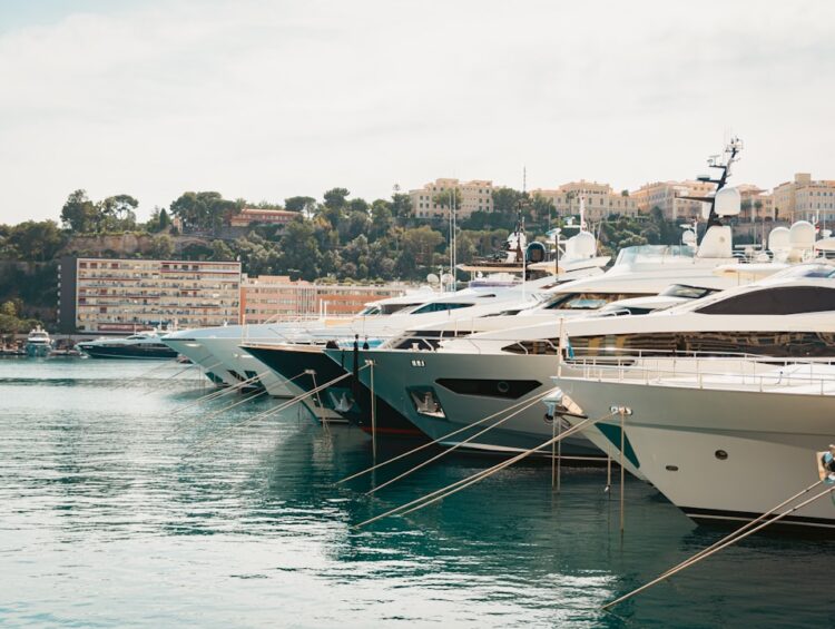 a bunch of boats are docked in the water